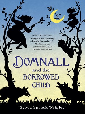 cover image of Domnall and the Borrowed Child